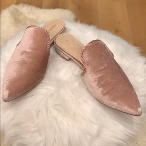 Rachel Zoe Natalie Velvet Mule BLUSH size 8